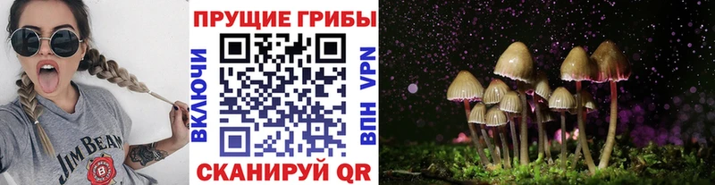 Псилоцибиновые грибы Psilocybine cubensis  дарнет шоп  Благодарный 