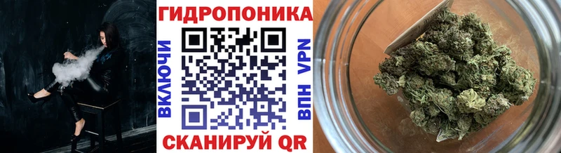 Марихуана Amnesia  Благодарный 